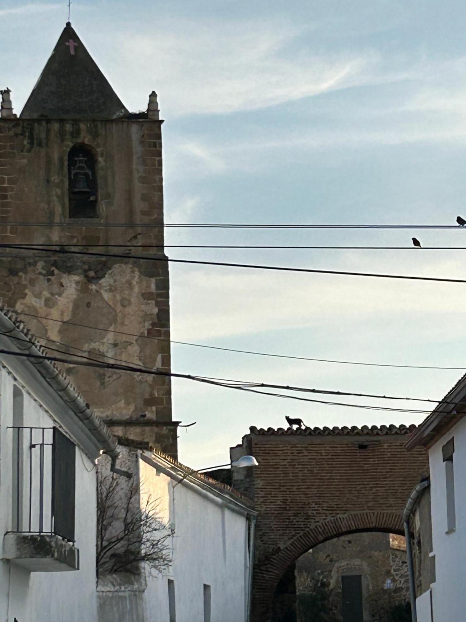 Casa Rural La Manzanilla Salvatierra de Santiago Esterno foto