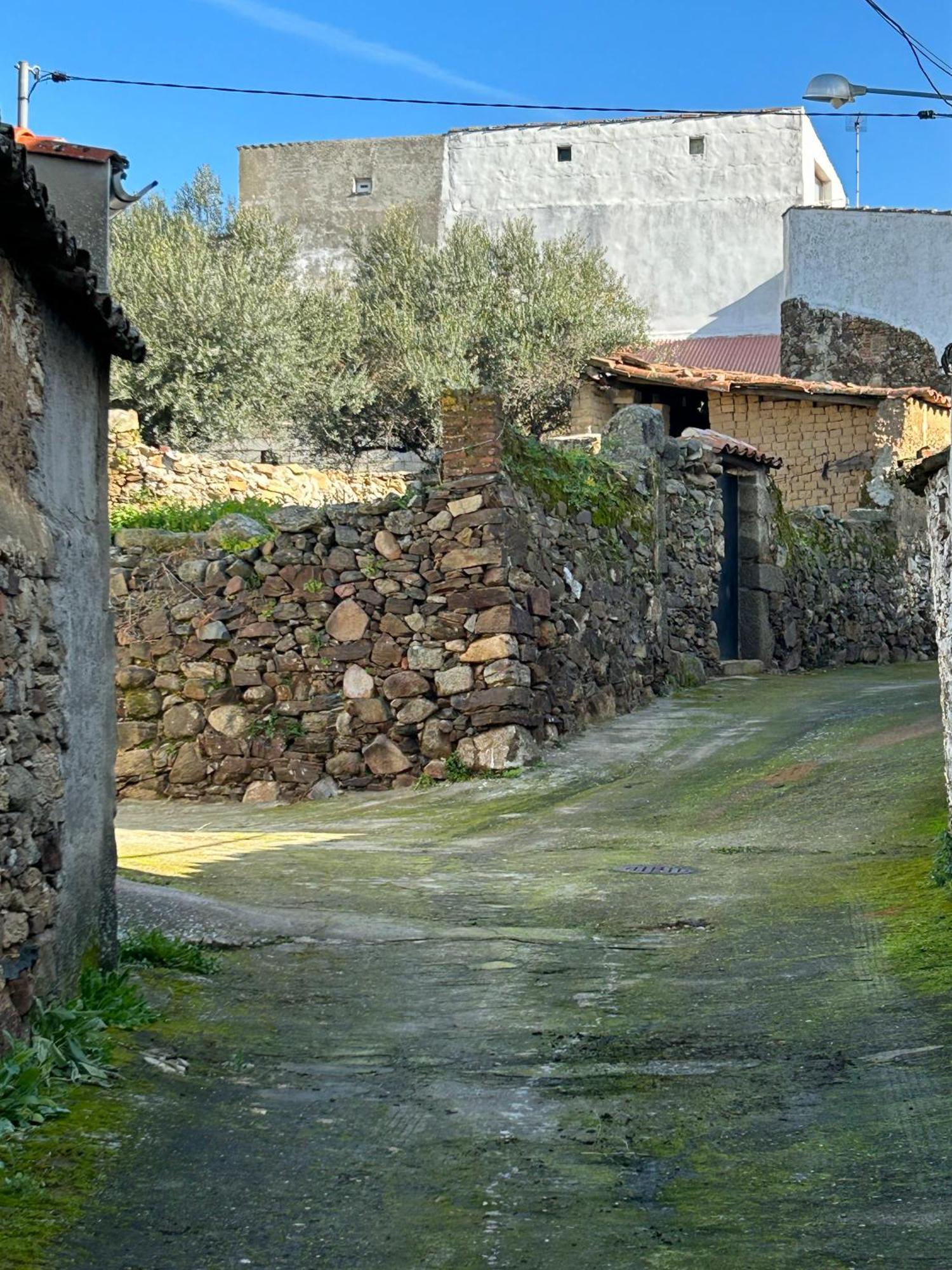 Casa Rural La Manzanilla Salvatierra de Santiago Esterno foto